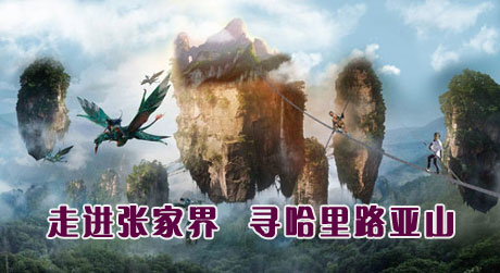  C5ҽ硢Ԭҽҽɽռ